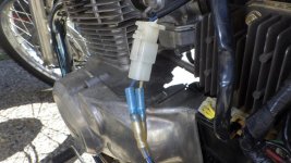 RIMG0175.jpg