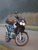 My XRV.jpg