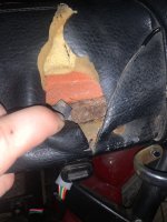 E0001562-170B-49A8-A56B-EE8610CD4D55.jpeg E0001562-170B-49A8-A56B-EE8610CD4D55.jpeg