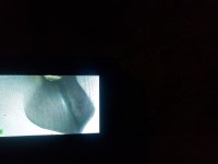 20231025_213855.jpg