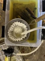 IMG_1211.jpeg