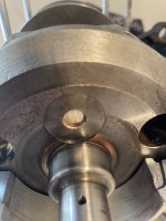 IMG_4517.jpeg