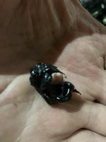 IMG_2843.jpeg