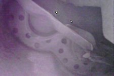 inside2 .jpg