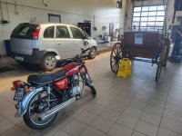 mot_2024.jpg