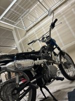 IMG_0301.jpeg