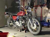 IMG_2317.jpeg IMG_2317.jpeg