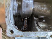 PXL_20240407_150049169[1].jpg