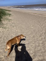 IMG_3120.jpeg