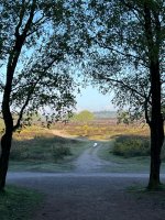 morning walk.jpg morning walk.jpg