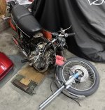 IMG_2359.jpeg