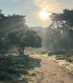 early walk.jpg