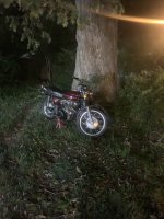 IMG_9431.jpeg