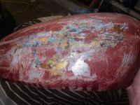 IMG_9489.jpeg