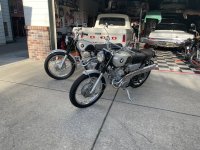 IMG_5648.jpeg