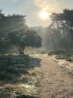IMG_2734.jpeg