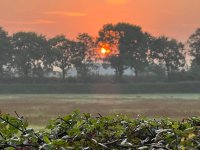 Afbeelding van WhatsApp op 2024-09-18 om 12.03.39_5de0160d.jpg