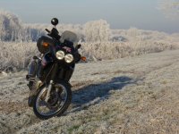 africatwin_02.jpg