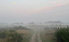 Afbeelding van WhatsApp op 2024-09-19 om 11.22.24_7146b3b9.jpg
