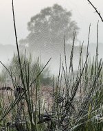 Afbeelding van WhatsApp op 2024-09-19 om 11.22.24_07e5b69a.jpg