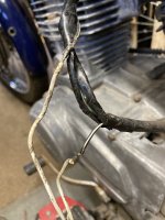 IMG_4387.jpeg