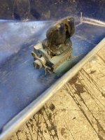 IMG_4388.jpeg