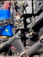 IMG_0539.jpeg
