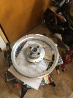 IMG_7176.jpeg