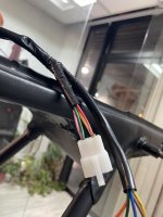 IMG_2971.jpeg
