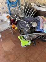 IMG_3520.jpeg