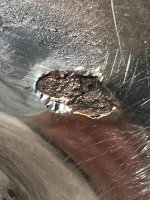 IMG-20250123-WA0009.jpg