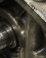 IMG_3430closeup.JPG