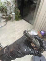 IMG_3574.jpeg