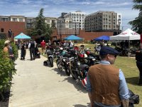 IMG_7379.jpeg