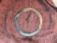 IMG_4503.jpeg