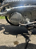 IMG_4712.jpeg