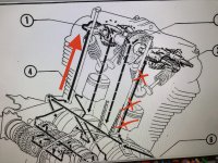IMG_7984.jpeg