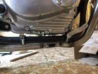 IMG_8017.jpeg