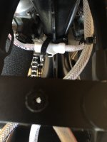 IMG_8029.jpeg