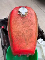 IMG_5174.jpg
