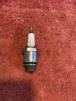 IMG_2865.jpeg