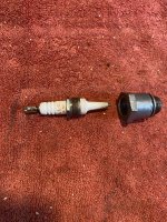 IMG_2863.jpeg