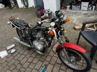 IMG_6944.jpeg