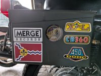 379.jpg