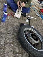 IMG_7216.jpeg
