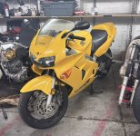 IMG_1463.jpeg IMG_1463.jpeg
