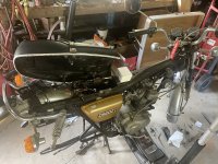 IMG_2633.jpeg