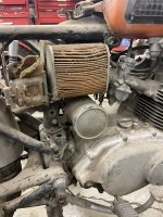 IMG_5966.jpeg