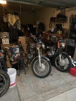 IMG_1113.jpeg