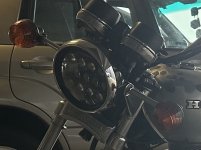 IMG_8169.jpeg IMG_8169.jpeg